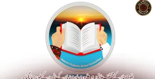 بلوچستان کے مختلف علاقوں میں 21 فروری مادری زبان کے عالمی دن کے طور پر منایا گیا۔بساک