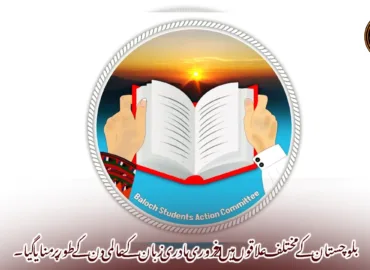 بلوچستان کے مختلف علاقوں میں 21 فروری مادری زبان کے عالمی دن کے طور پر منایا گیا۔بساک