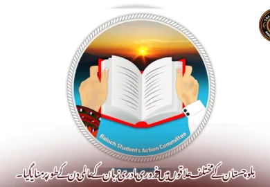 بلوچستان کے مختلف علاقوں میں 21 فروری مادری زبان کے عالمی دن کے طور پر منایا گیا۔بساک