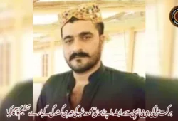 برکت علی کی وی بی ایم پی سے رابطہ، اپنے بھائی محمد رشید کی جبری گمشدگی کے بارے تنظیم کو آگاہ کیا