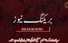 سرباز دنداروک نامعلوم مسلح افراد کی قابض ایرانی فورسز پر حملہ۔