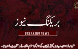 مقبوضہ بلوچستان سرباز میں کرنل فرہادی کے قافلہ کو نامعلوم افراد نے دو حملوں میں نشانہ بنایا۔