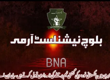 زہری میں پاکستانی فورسز کی گشتی ٹیم پر حملے کی ذمہ داری قبول کرتے ہیں۔ بی این اے