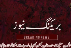 پنجگور میں مسلح حملے، متعدد علاقوں پر گھنٹوں کنٹرول، فورسز اور ڈیتھ اسکواڈ کو نشانہ بنایا گیا