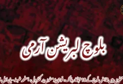 چودہ حملوں میں قابض فوج کے 18 اہلکار ہلاک، فوجی پوسٹوں پر کنٹرول، اسلحہ ضبط – بی ایل اے 