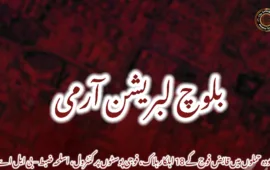 چودہ حملوں میں قابض فوج کے 18 اہلکار ہلاک، فوجی پوسٹوں پر کنٹرول، اسلحہ ضبط – بی ایل اے