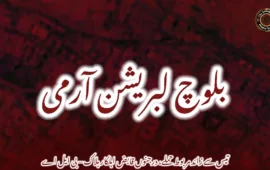 تیس سے زائد مربوط حملے، درجنوں قابض اہلکار ہلاک – بی ایل اے