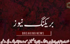 خضدار: باغبان باجوئی میں فائرنگ، لیڈی کانسٹیبل سمیت 2 اہلکار ہلاک، ایک زخمی