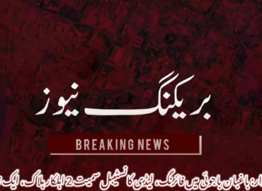 خضدار: باغبان باجوئی میں فائرنگ، لیڈی کانسٹیبل سمیت 2 اہلکار ہلاک، ایک زخمی