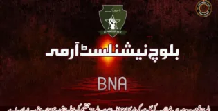 بلوچ قومی جدوجہد میں خواتین کے کلیدی کردار کا اعتراف؛ ‘درین بلوچ’ تنظیم کی پہلی خاتون ترجمان مقرر۔  بی این اے
