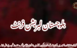 کولواہ، جھاؤ اور بیسیمہ میں فوجی قافلے، اور چوکی پر حملے میں 6 فوجی اہلکار ہلاک، متعدد زخمی۔ بی ایل ایف