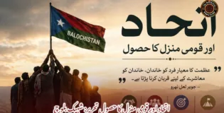 اتحاد اور قومی منزل کا حصول   تحریر: شہیک بلوچ