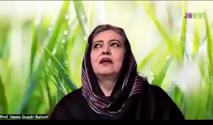 کردستان اور بلوچستان پر کھینچی گئی لکیریں مٹانے کا وقت آچکا ہے، نائلہ قادری بلوچ