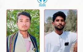 مند میں دو بھائیوں کے ماورائے عدالت قتل پر پانک کا تحقیقات کا مطالبہ۔پانک