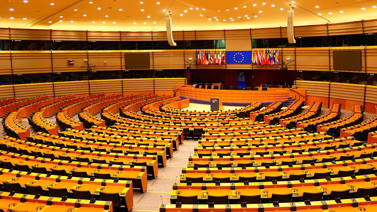 EU lawmakers express worry over BYC leaders’ arrests and demand explanation from Pakistan