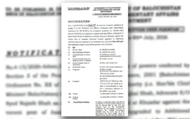 Government Lawyer in Mahrang Baloch Case Named Additional Advocate General in Khuzdar; BYC Raises Concerns