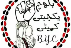 مستونگ میں عام عوام پر ڈرون حملہ ریاستی دہشتگردی اور سفاکیت ہے۔ بی وائی سی